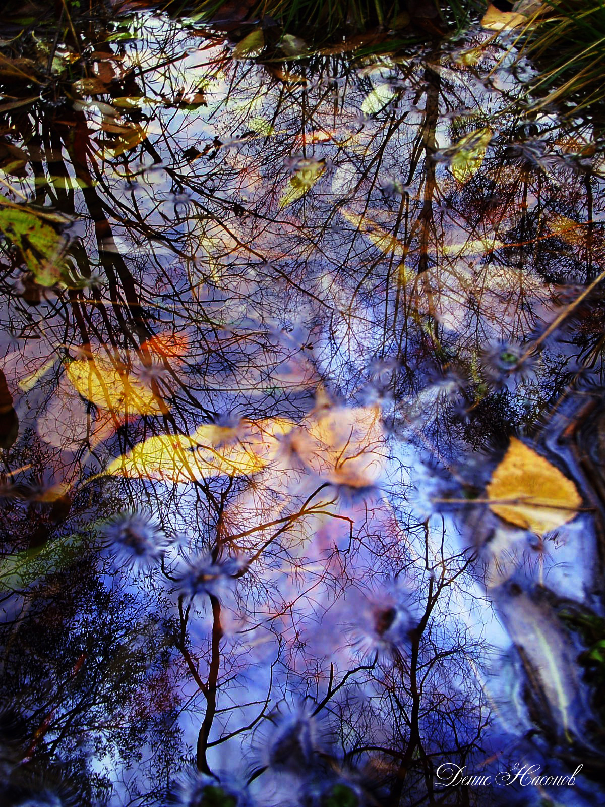 Отражение Осени В Воде Фото