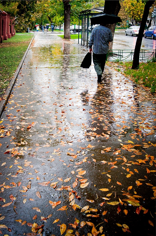 Анализ осенний дождь. Осень дождь. Фото дождь в городе осенью. Дождливая осень в Москве. Москва осень дождь.