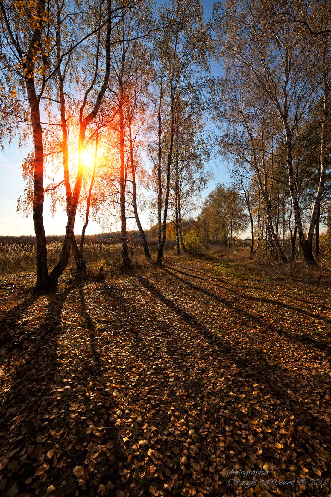 Осенний закат в лесу