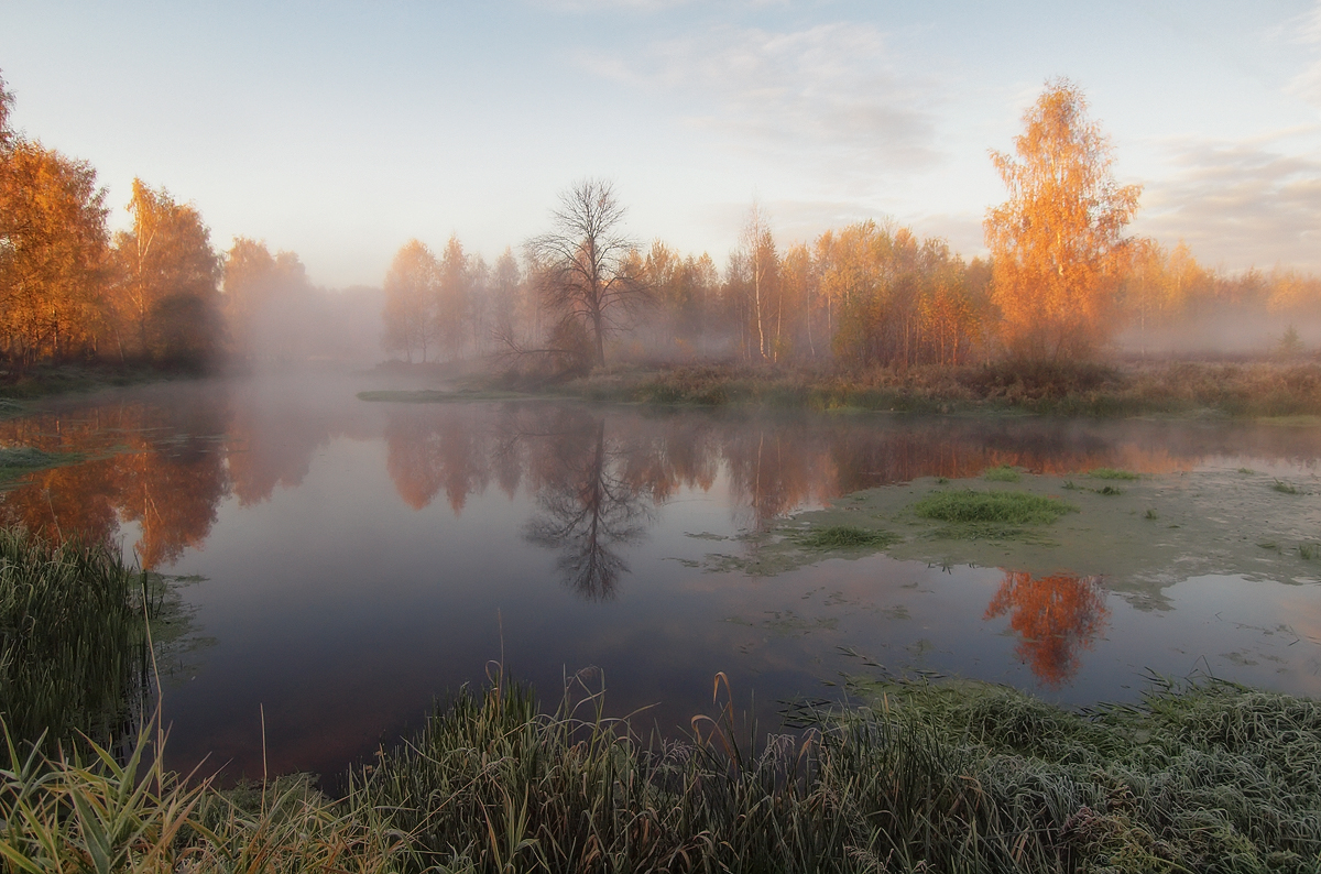 Утро осени картинки. Утро осень река. Осеннее утро на реке. Осень река туман. Утро на реке осенью.