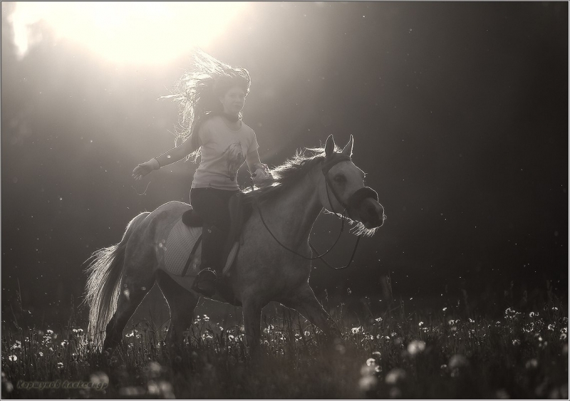 Девушка лошадь клип. Девушка на лошади на закате. Арты девушка на коне. Девушка на коне Заря. Пазл девушка на коне.