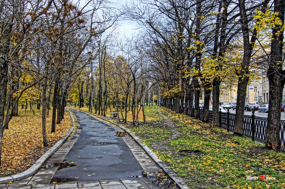 Парк льва толстого. Парк Льва Толстого Москва.