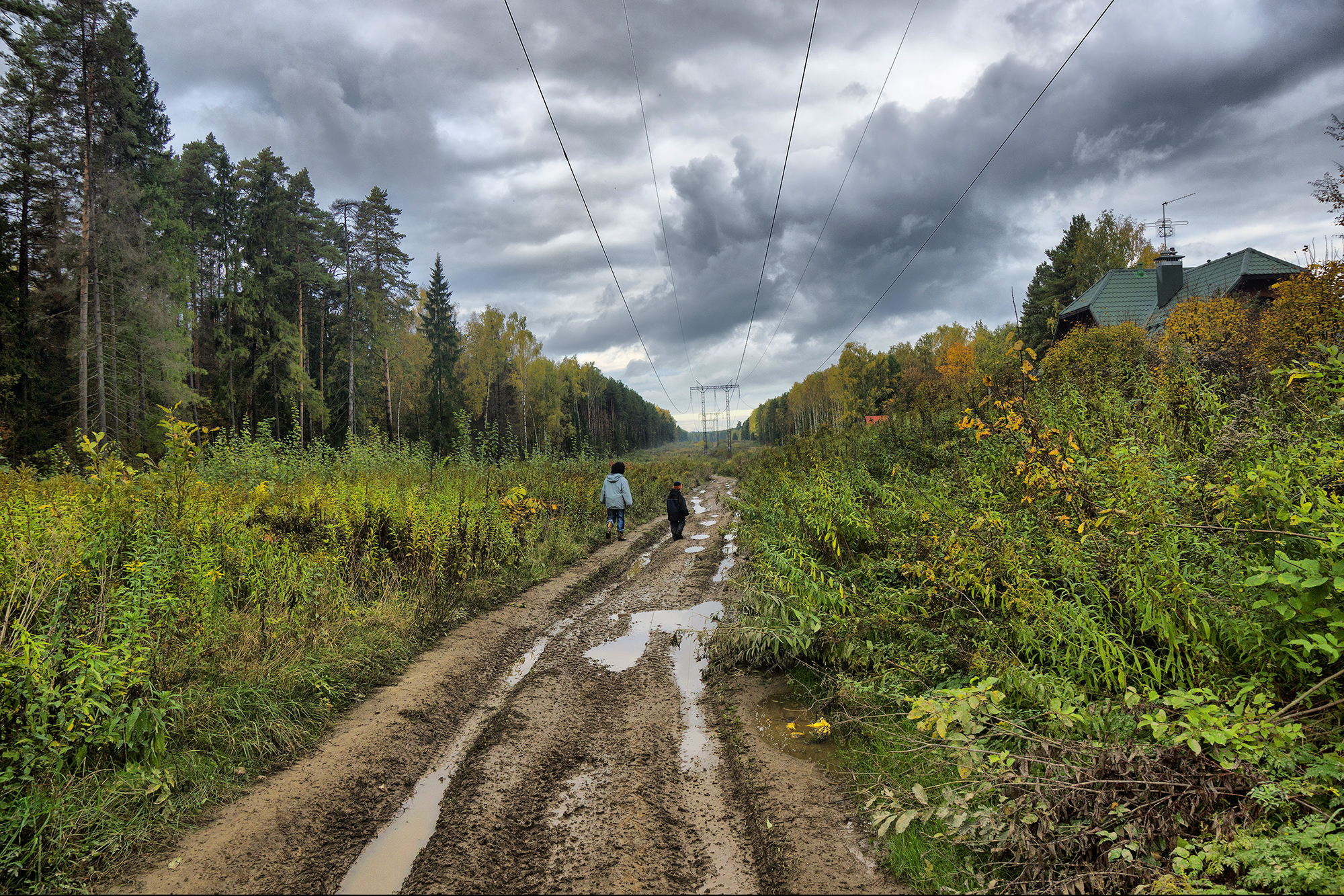 Дорога колея 4. Колея в лесу. Лесная колея. Колея на дороге. Проселочная осенняя дорога колея.