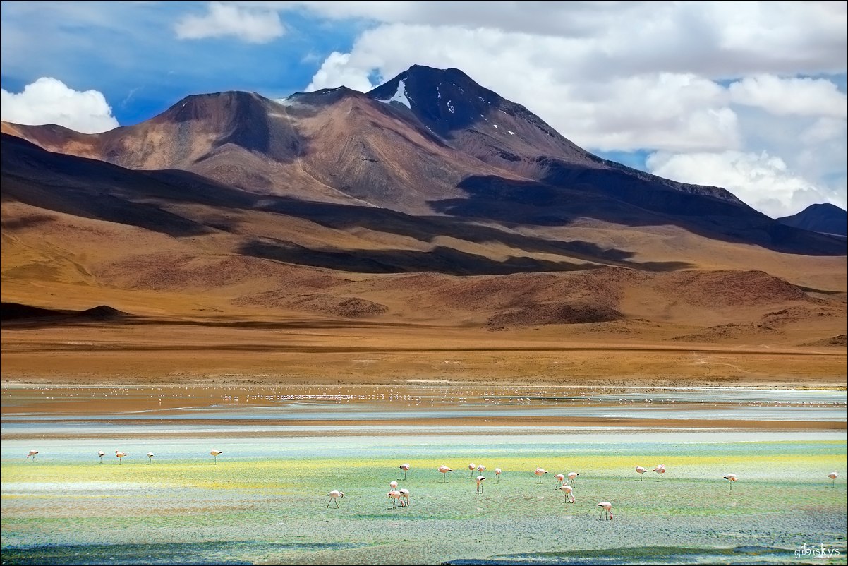 Альтиплано. Орьенте Боливия. Боливийское Нагорье. Камни Альтиплано, Боливия. Боливия Пуна.