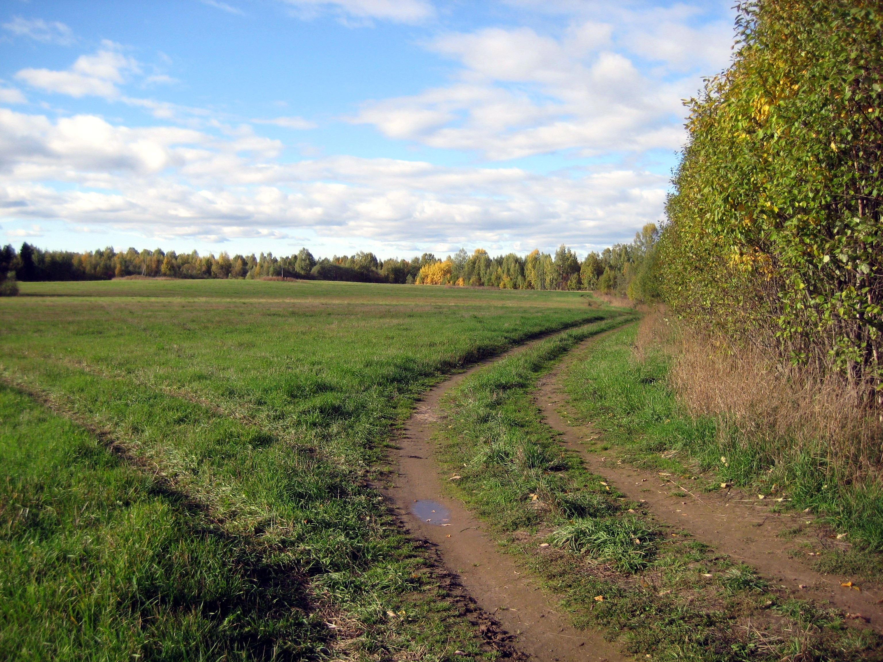 Владимир буй фото