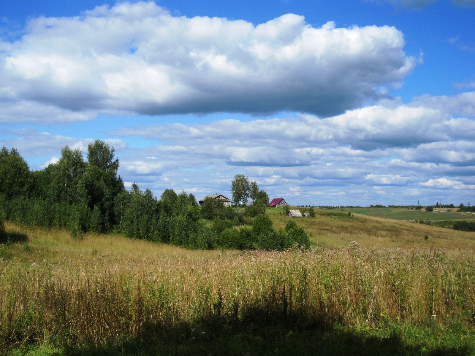 Владимир буй фото