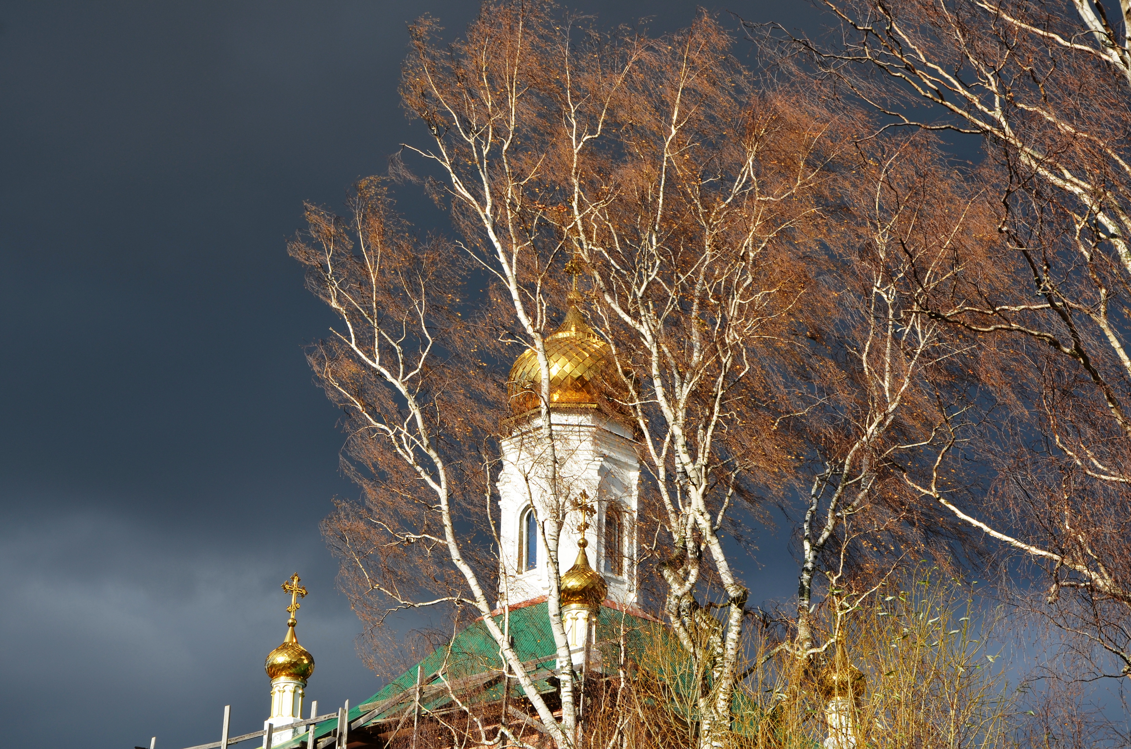 Владимир буй фото