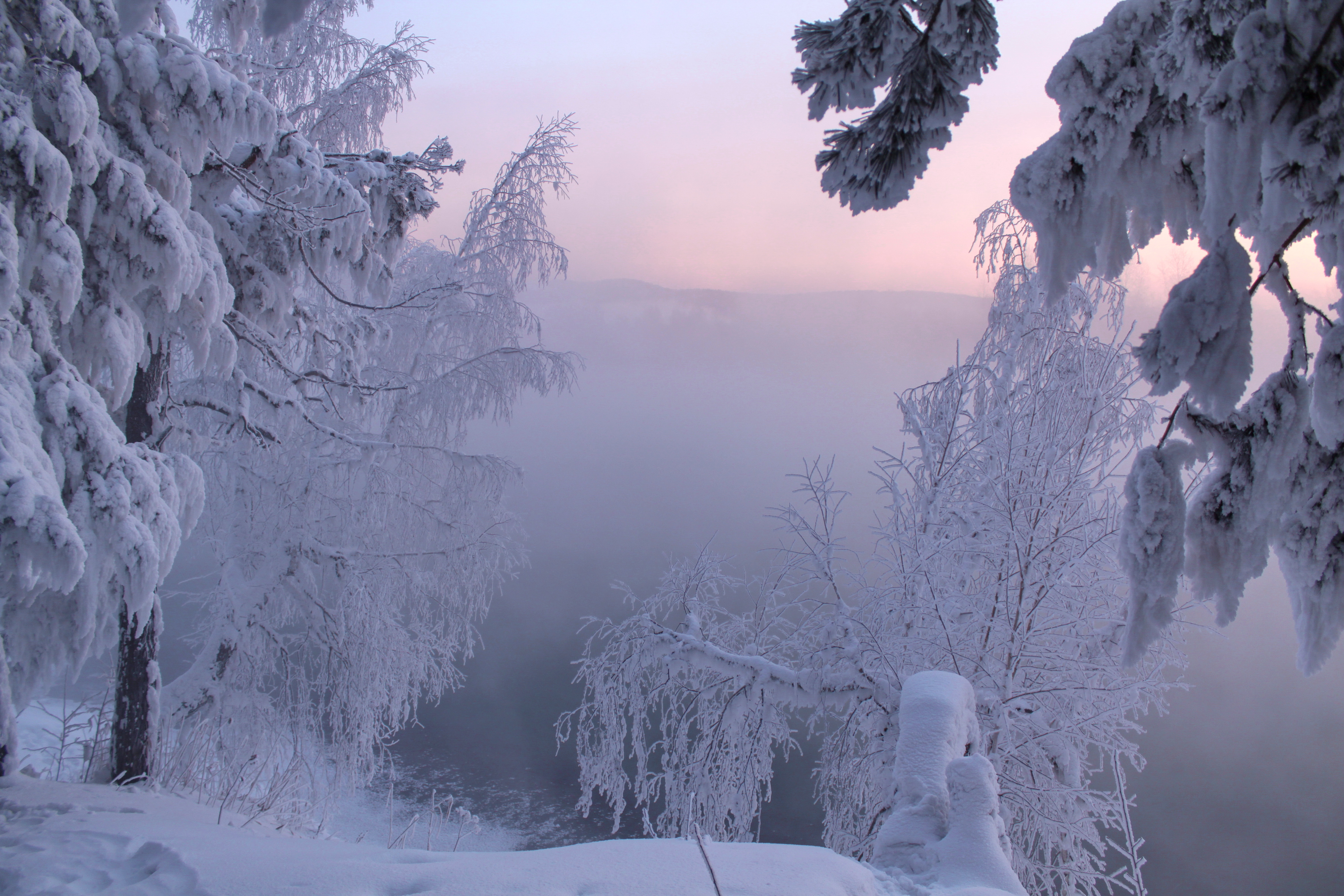 Феврале Морозы природа красивые Архангельская область