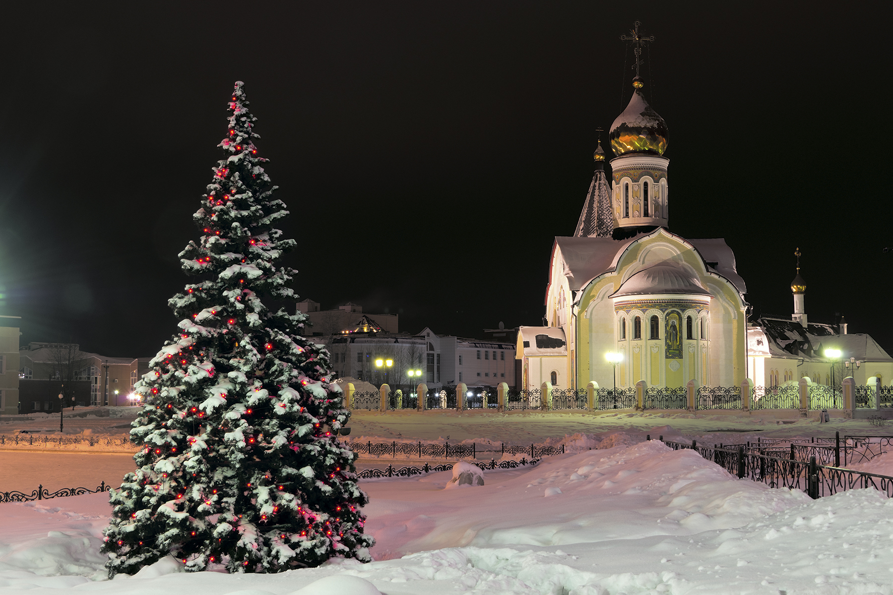 Владимир фото зима елка