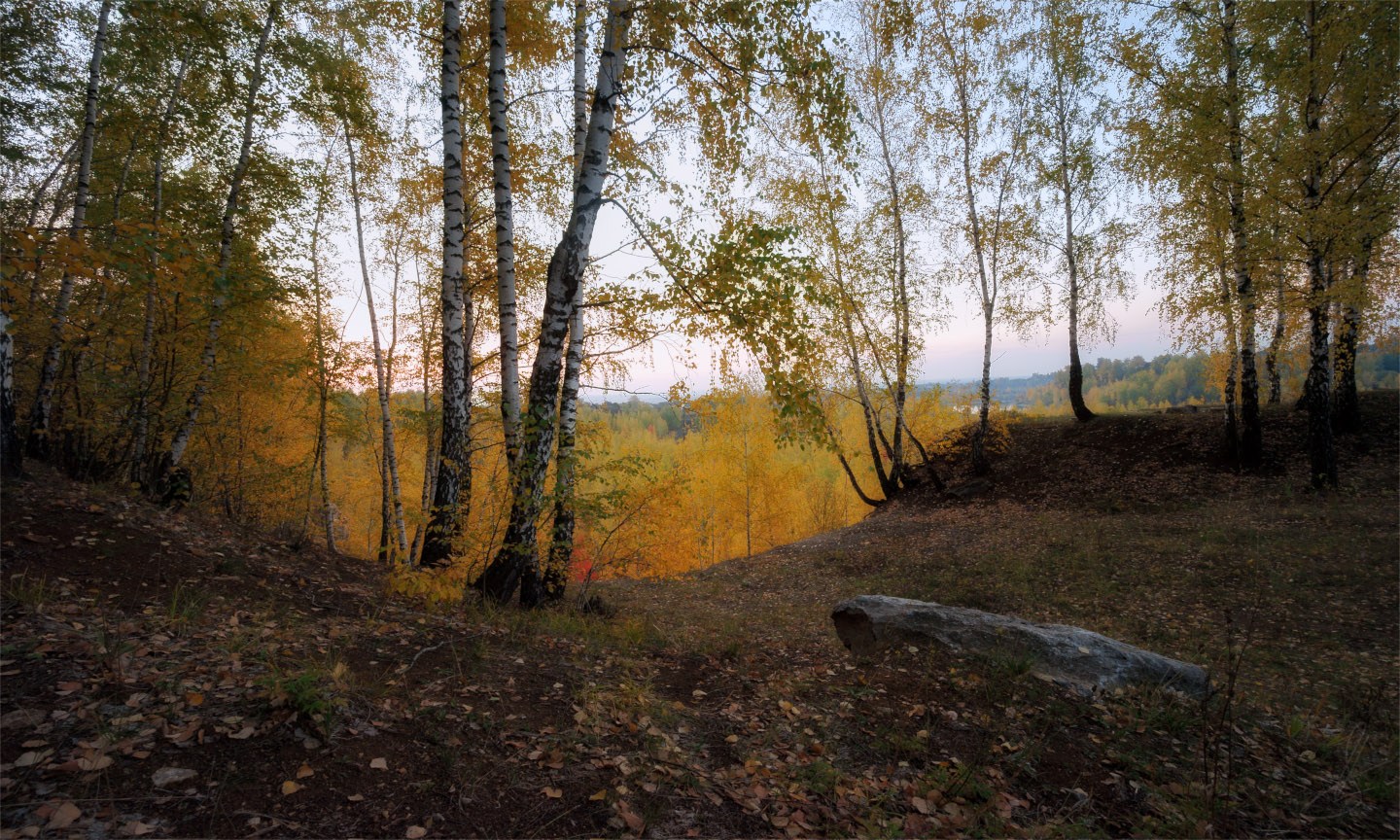 Поселок барсуки фото