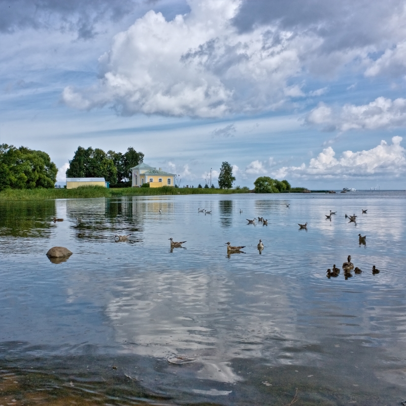 Петергоф финский залив фото