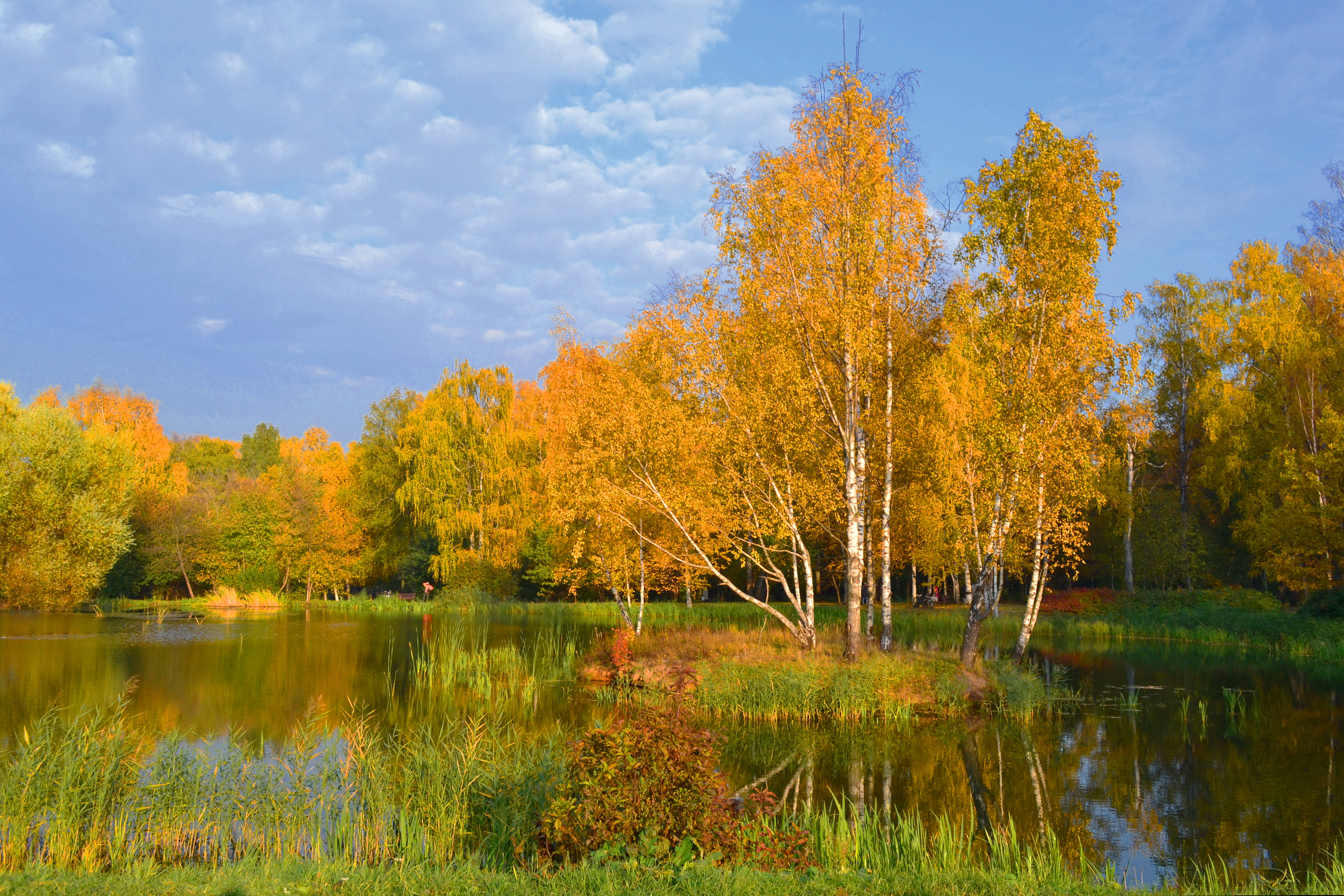 Осенняя золотая осень. Золотая осень. Октябрь Золотая осень. Фото осень Золотая. Золотая осень вечер.