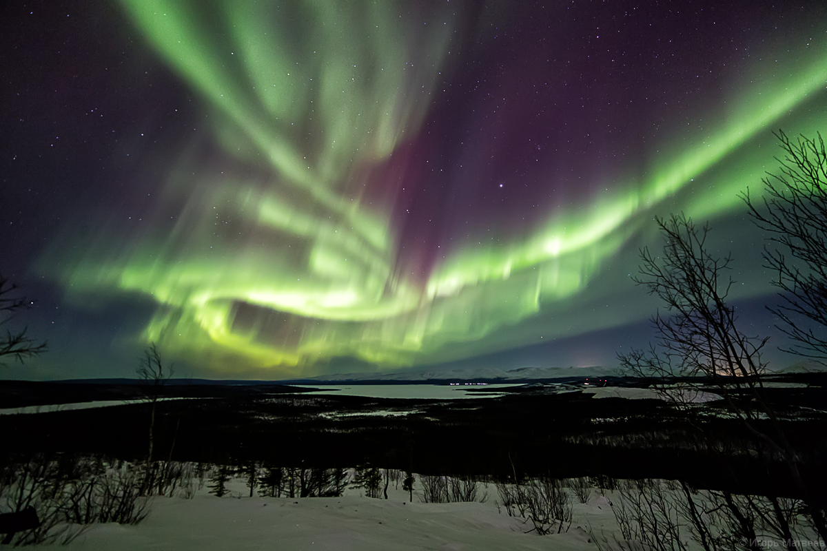 Северное сияние или сполохи как. Borealis Мурманск. Всполохи Авроры. Сполохи или всполохи. Включите Северное сияние.