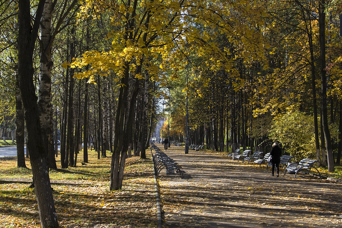 Аллея здоровья в йошкар оле фото