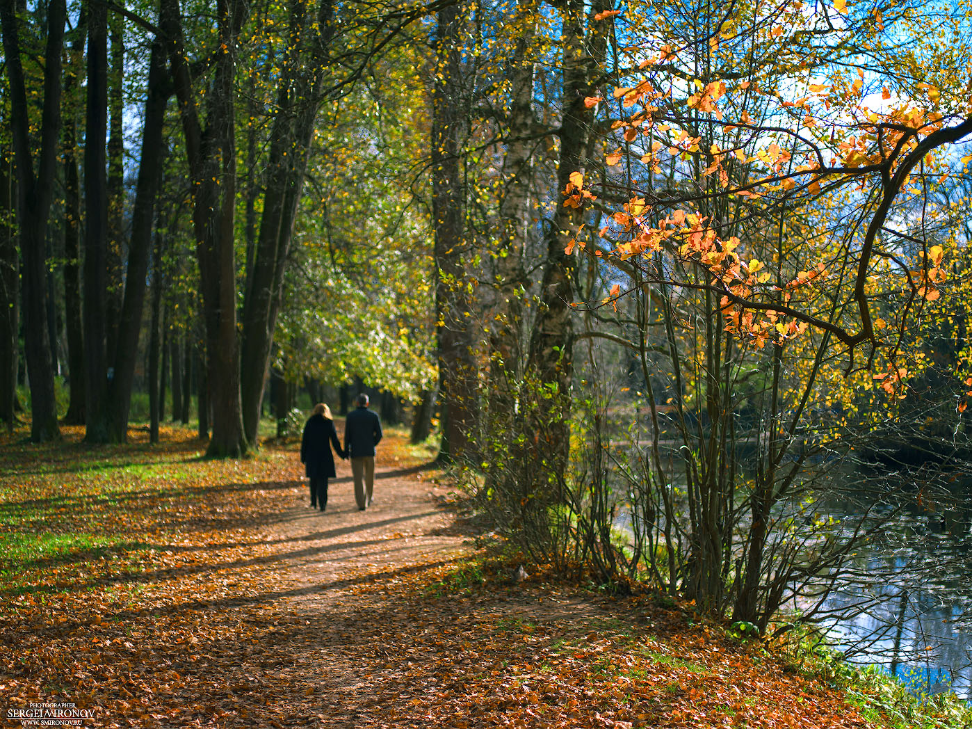 Погулять по лесу. Прогулка по парку. Прогулка в парке. Осенний парк. Осень в парке.