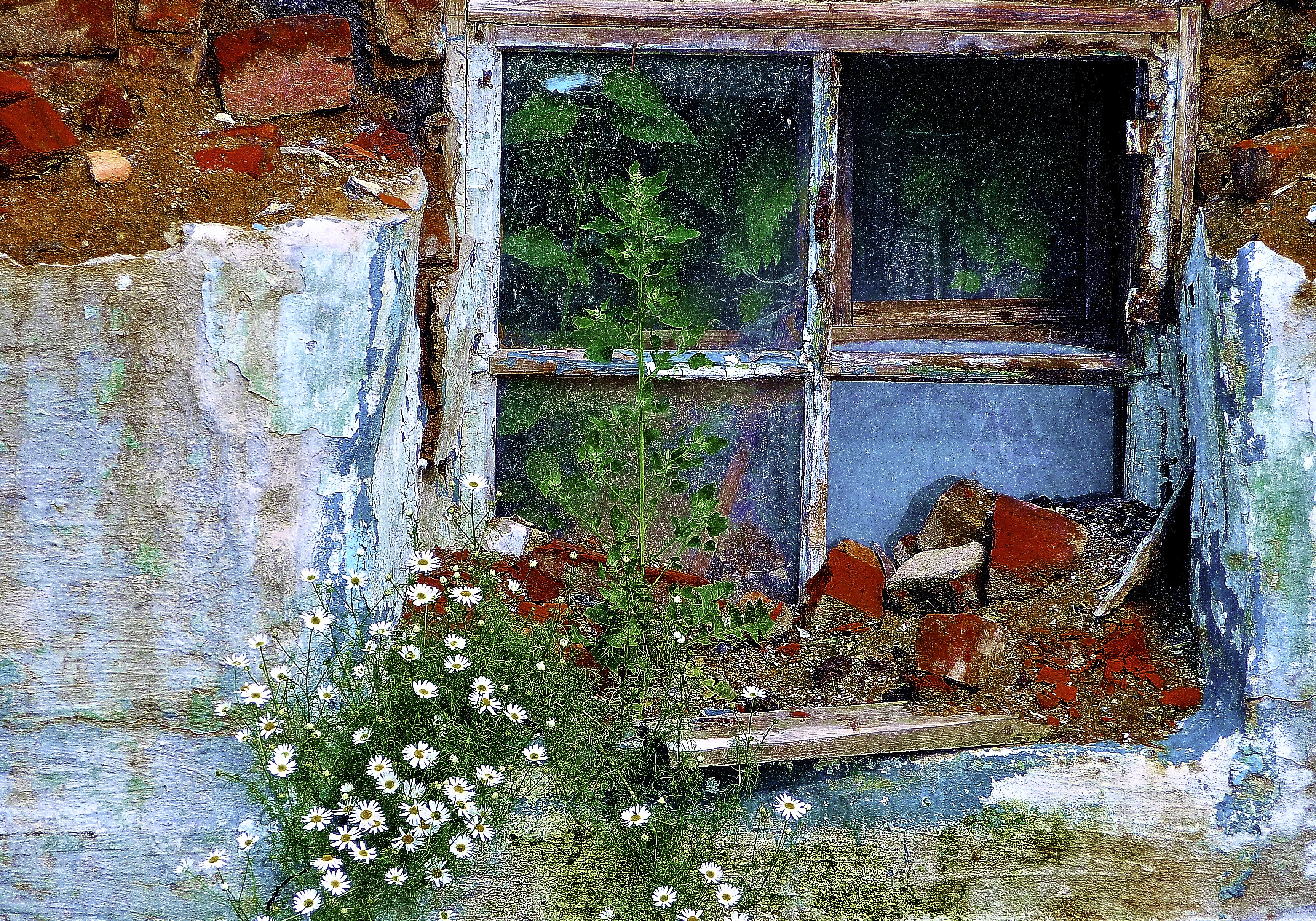 Окна разваленного дома